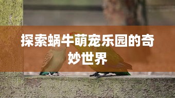 探索蜗牛萌宠乐园的奇妙世界