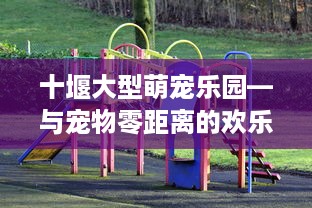 十堰大型萌宠乐园—与宠物零距离的欢乐天地