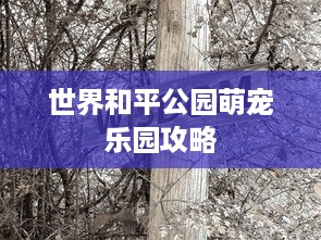 世界和平公园萌宠乐园攻略