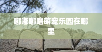 嘟嘟嘟噜萌宠乐园在哪里