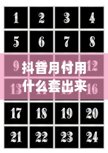 抖音月付用什么套出来最好呢 抖音月付套利攻略，揭秘最佳套利方法，轻松赚取收益！