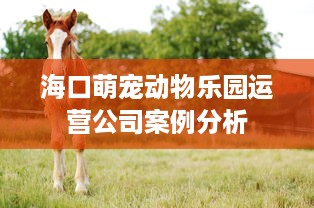 海口萌宠动物乐园运营公司案例分析