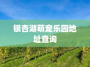 银杏湖萌宠乐园地址查询