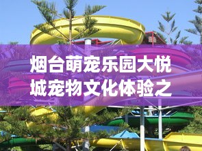烟台萌宠乐园大悦城宠物文化体验之旅