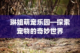 琳姐萌宠乐园—探索宠物的奇妙世界