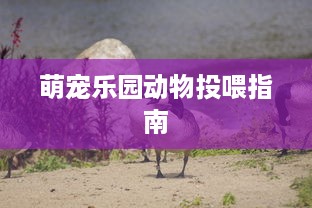 萌宠乐园动物投喂指南