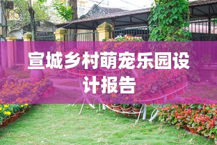 宣城乡村萌宠乐园设计报告