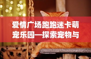 爱情广场跑跑迷卡萌宠乐园—探索宠物与爱情的奇妙融合