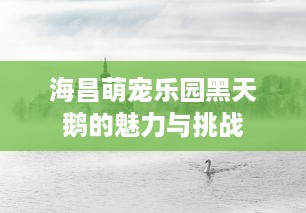 海昌萌宠乐园黑天鹅的魅力与挑战