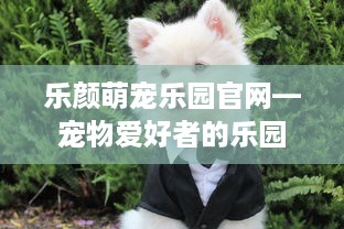 乐颜萌宠乐园官网—宠物爱好者的乐园