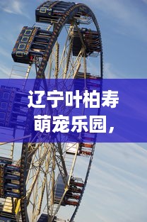 辽宁叶柏寿萌宠乐园，亲近自然，欢乐无限