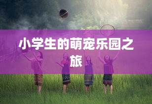 小学生的萌宠乐园之旅