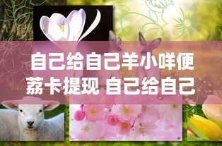 自己给自己羊小咩便荔卡提现 自己给自己羊小咩便荔卡提现，轻松理财新体验