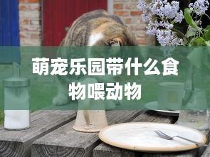 萌宠乐园带什么食物喂动物