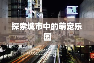 探索城市中的萌宠乐园