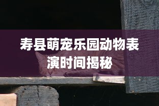 寿县萌宠乐园动物表演时间揭秘