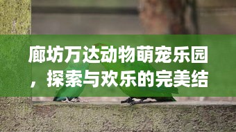 廊坊万达动物萌宠乐园，探索与欢乐的完美结合