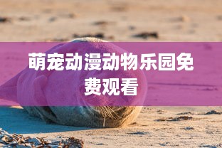 萌宠动漫动物乐园免费观看
