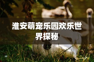 淮安萌宠乐园欢乐世界探秘