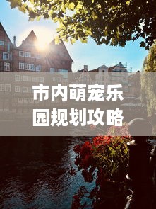 市内萌宠乐园规划攻略