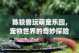 陈较兽玩萌宠乐园，宠物世界的奇妙探险