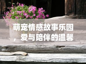 萌宠情感故事乐园，爱与陪伴的温馨旅程