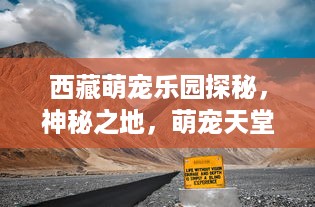 西藏萌宠乐园探秘，神秘之地，萌宠天堂等你来