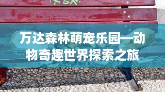 万达森林萌宠乐园—动物奇趣世界探索之旅