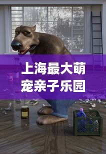 上海最大萌宠亲子乐园全攻略