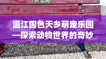 温江国色天乡萌宠乐园—探索动物世界的奇妙世界