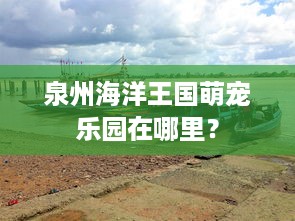 泉州海洋王国萌宠乐园在哪里？