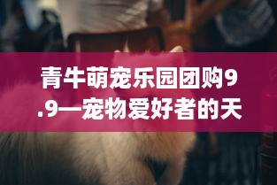 青牛萌宠乐园团购9.9—宠物爱好者的天堂