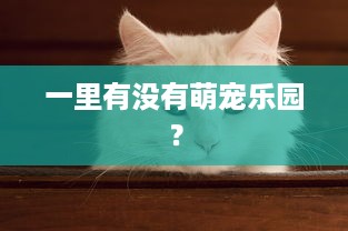 一里有没有萌宠乐园？