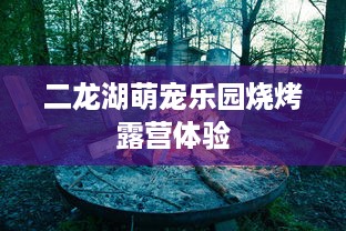 二龙湖萌宠乐园烧烤露营体验