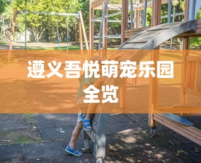 遵义吾悦萌宠乐园全览