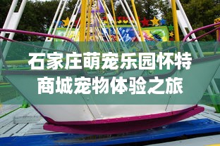 石家庄萌宠乐园怀特商城宠物体验之旅