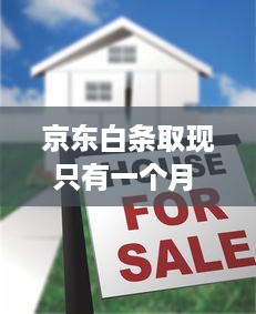 京东白条取现只有一个月 揭秘京东白条取现，为何只有一个月？揭秘背后的原因与案例分享