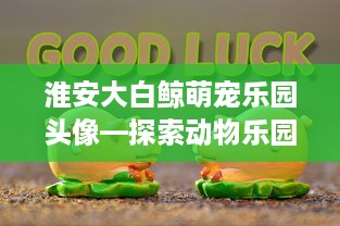 淮安大白鲸萌宠乐园头像—探索动物乐园的魅力