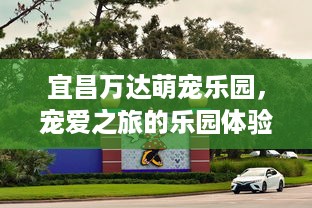 宜昌万达萌宠乐园，宠爱之旅的乐园体验