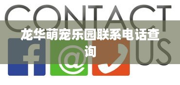 龙华萌宠乐园联系电话查询