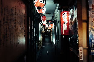 探索句容的萌宠乐园，一家店子，多种体验