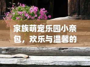 家族萌宠乐园小奈包，欢乐与温馨的宠物故事