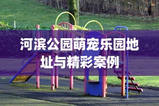河滨公园萌宠乐园地址与精彩案例