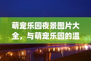 萌宠乐园夜景图片大全，与萌宠乐园的温馨时光