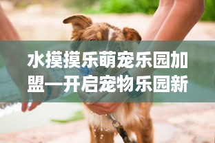 水摸摸乐萌宠乐园加盟—开启宠物乐园新篇章