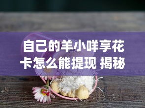自己的羊小咩享花卡怎么能提现 揭秘自己的羊小咩享花卡提现攻略，轻松变现，让你花卡里的钱活起来！
