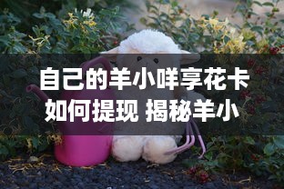 自己的羊小咩享花卡如何提现 揭秘羊小咩享花卡，教你轻松提现小技巧！