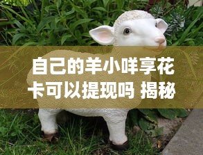 自己的羊小咩享花卡可以提现吗 揭秘羊小咩享花卡，能提现吗？一文带你详细了解！