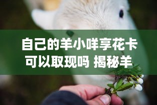 自己的羊小咩享花卡可以取现吗 揭秘羊小咩享花卡，能取现吗？一文带你全面了解