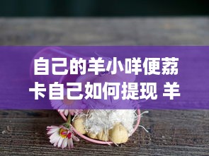 自己的羊小咩便荔卡自己如何提现 羊小咩便荔卡提现攻略，轻松搞定你的资金流转